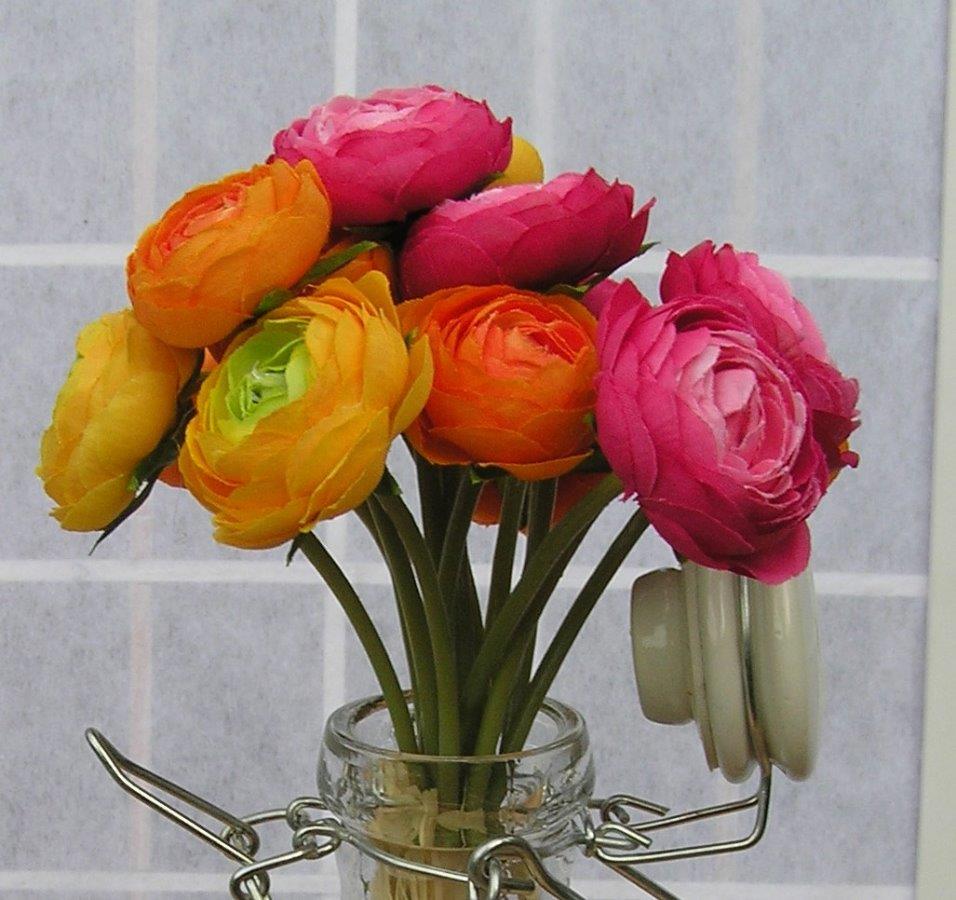 Tổng hợp những hình ảnh đẹp nhất về hoa mao lương – Loài hoa mang ý nghĩa hạnh phúc - [Kích thước hình ảnh: 956x900 px]