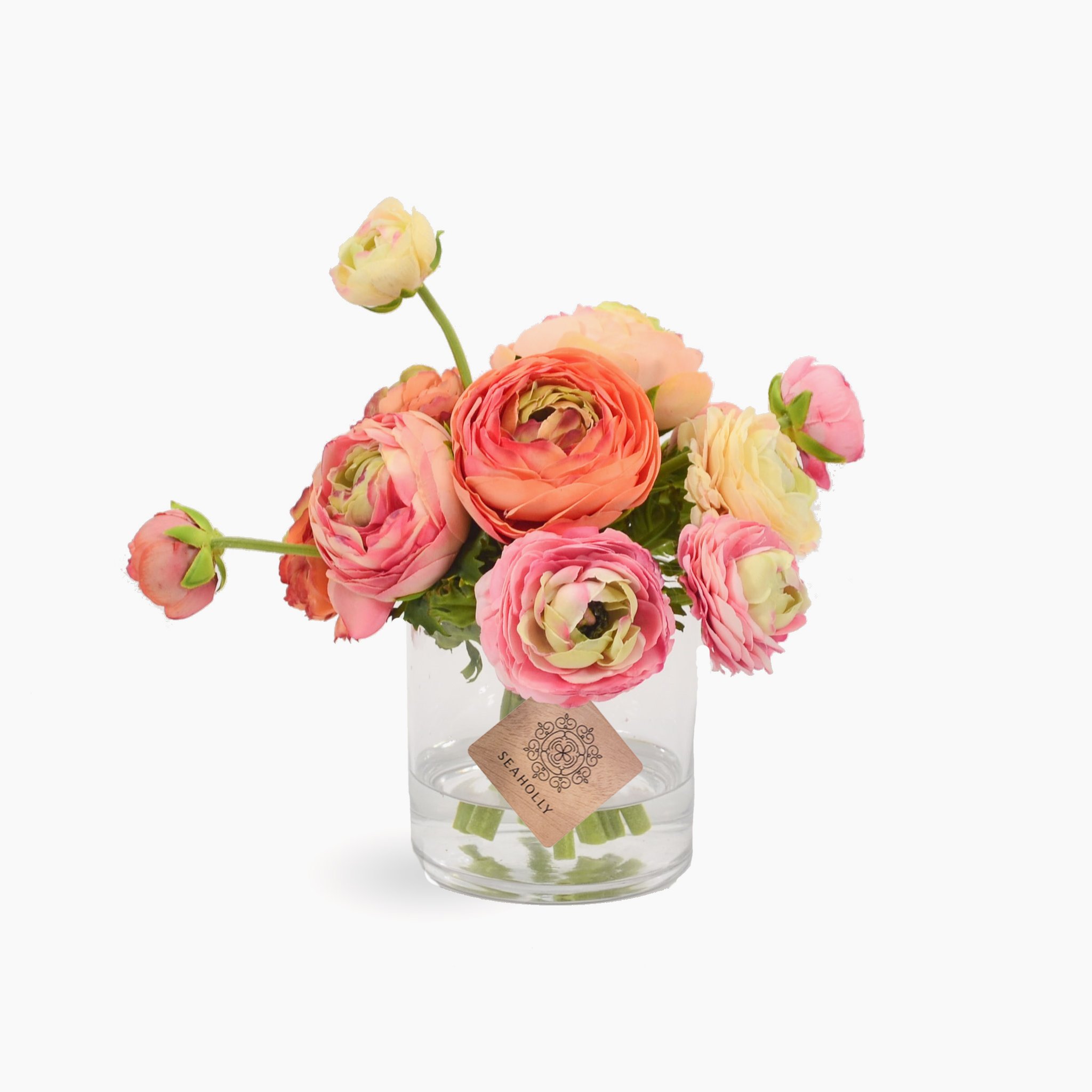 Tổng hợp những hình ảnh đẹp nhất về hoa mao lương – Loài hoa mang ý nghĩa hạnh phúc - [Kích thước hình ảnh: 2048x2048 px]