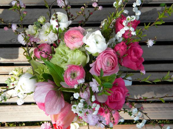Tổng hợp những hình ảnh đẹp nhất về hoa mao lương – Loài hoa mang ý nghĩa hạnh phúc - [Kích thước hình ảnh: 600x450 px]