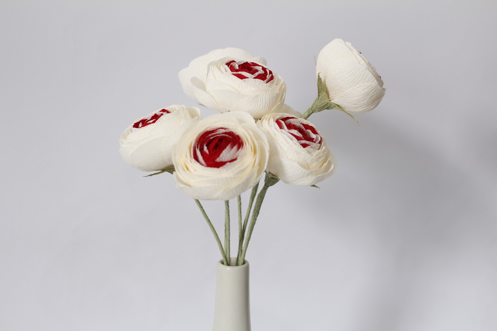 Tổng hợp những hình ảnh đẹp nhất về hoa mao lương – Loài hoa mang ý nghĩa hạnh phúc - [Kích thước hình ảnh: 2048x1365 px]