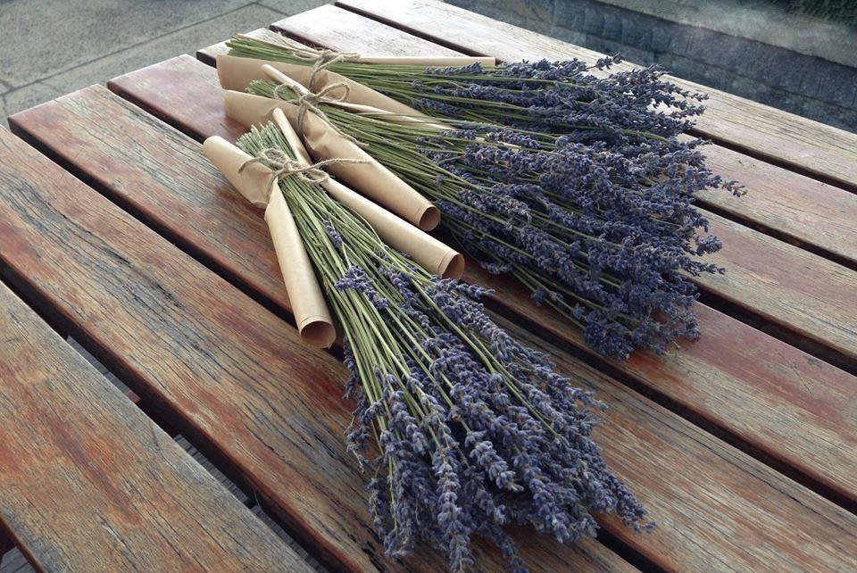 Tổng hợp hình ảnh hoa lavender khô đẹp nhất – Loài hoa may mắn, hạnh phúc - [Kích thước hình ảnh: 960x642 px]