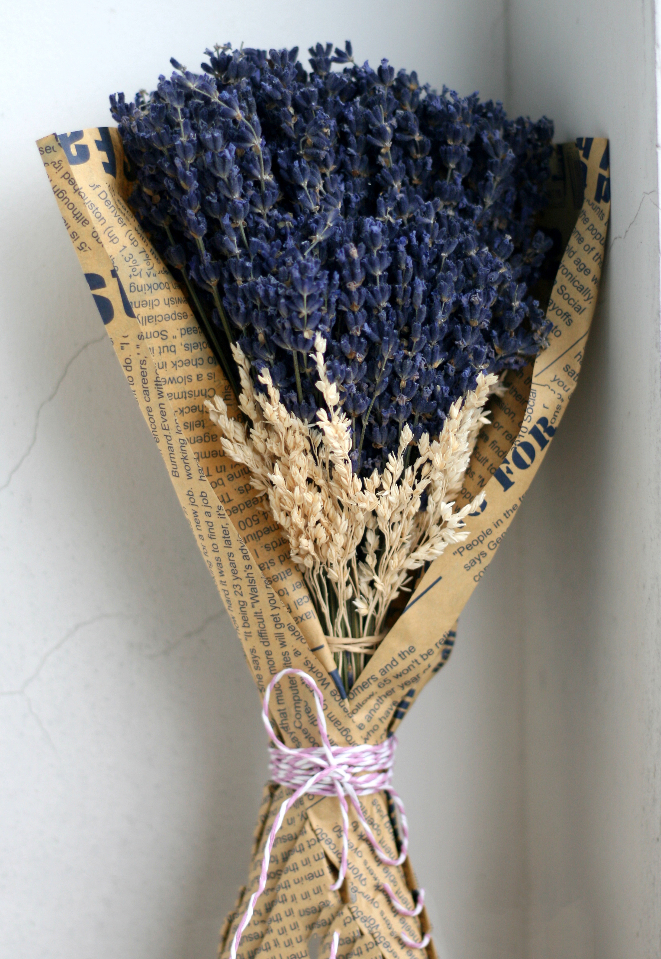 Tổng hợp hình ảnh hoa lavender khô đẹp nhất – Loài hoa may mắn, hạnh phúc - [Kích thước hình ảnh: 2234x3240 px]