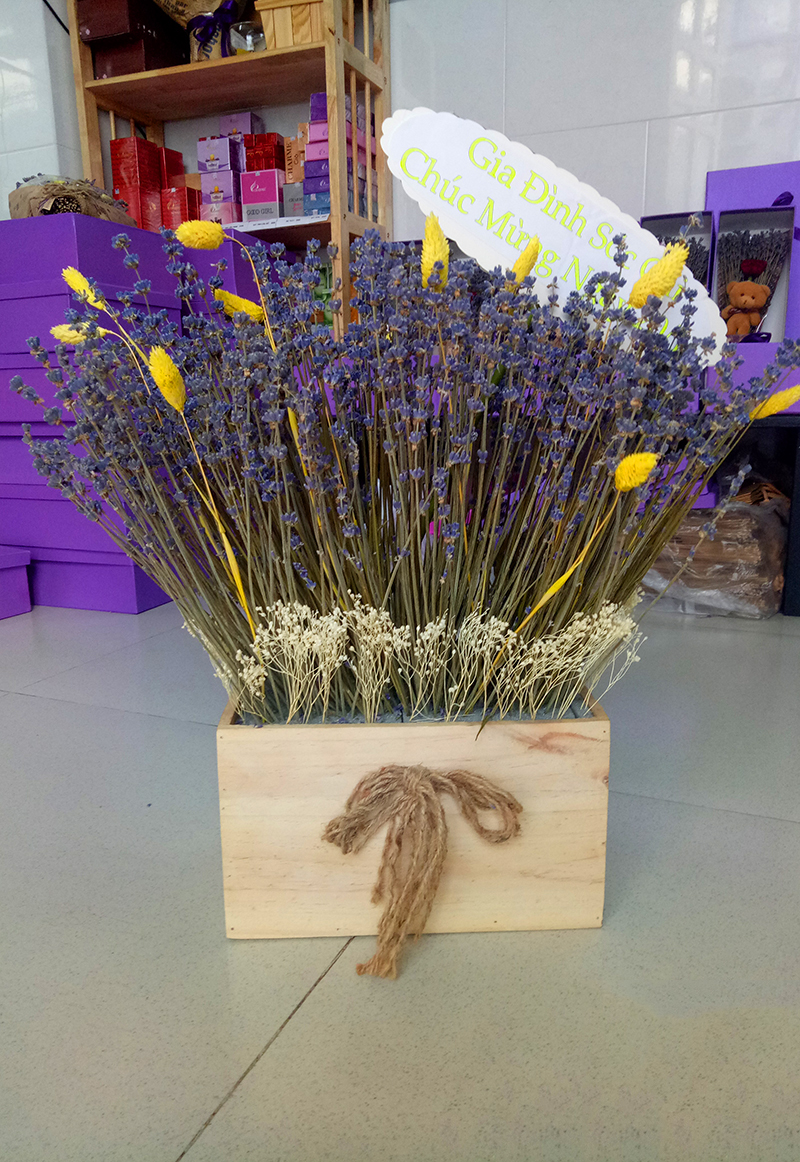Tổng hợp hình ảnh hoa lavender khô đẹp nhất – Loài hoa may mắn, hạnh phúc - [Kích thước hình ảnh: 800x1162 px]