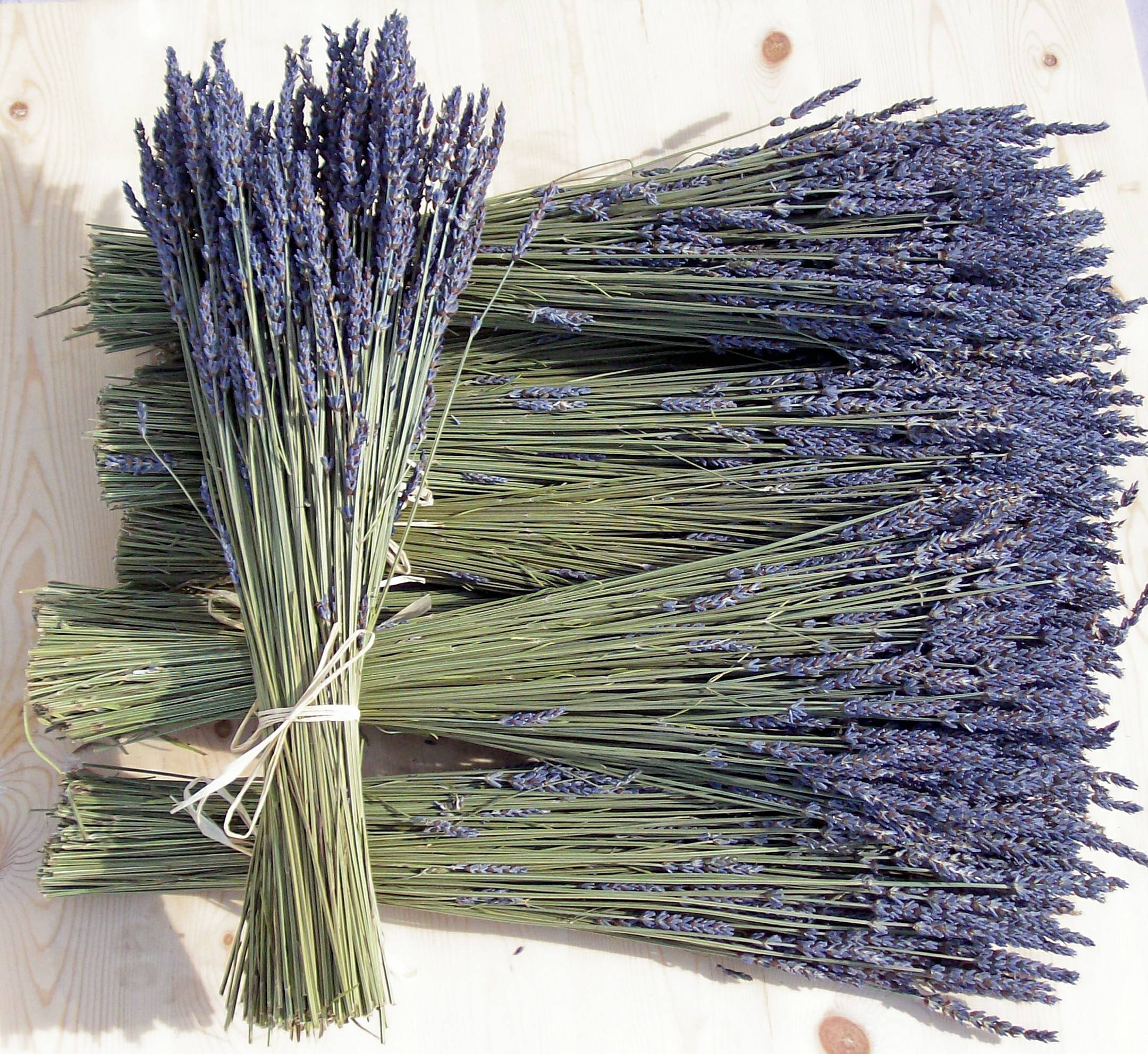 Tổng hợp hình ảnh hoa lavender khô đẹp nhất – Loài hoa may mắn, hạnh phúc - [Kích thước hình ảnh: 2160x1984 px]