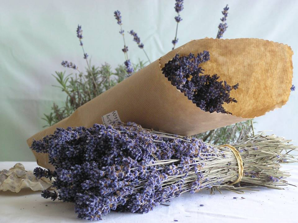 Tổng hợp hình ảnh hoa lavender khô đẹp nhất – Loài hoa may mắn, hạnh phúc - [Kích thước hình ảnh: 960x718 px]