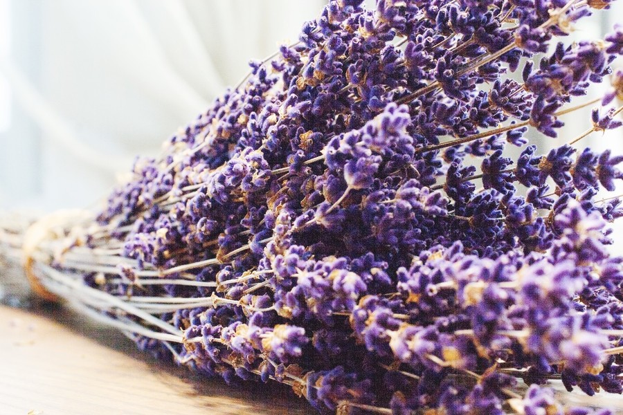 Tổng hợp hình ảnh hoa lavender khô đẹp nhất – Loài hoa may mắn, hạnh phúc - [Kích thước hình ảnh: 900x600 px]