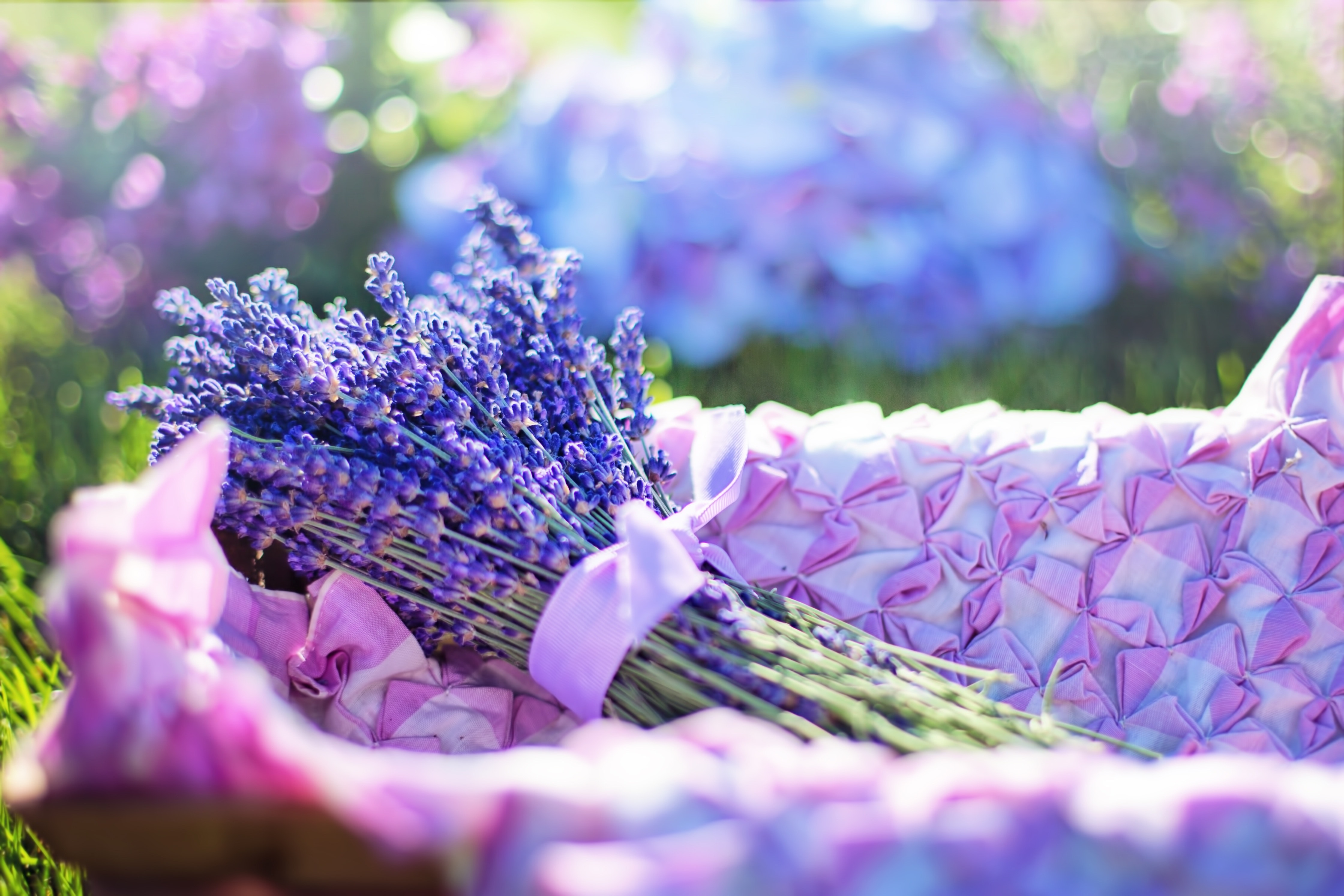 Tổng hợp hình ảnh hoa lavender khô đẹp nhất – Loài hoa may mắn, hạnh phúc - [Kích thước hình ảnh: 4480x2987 px]