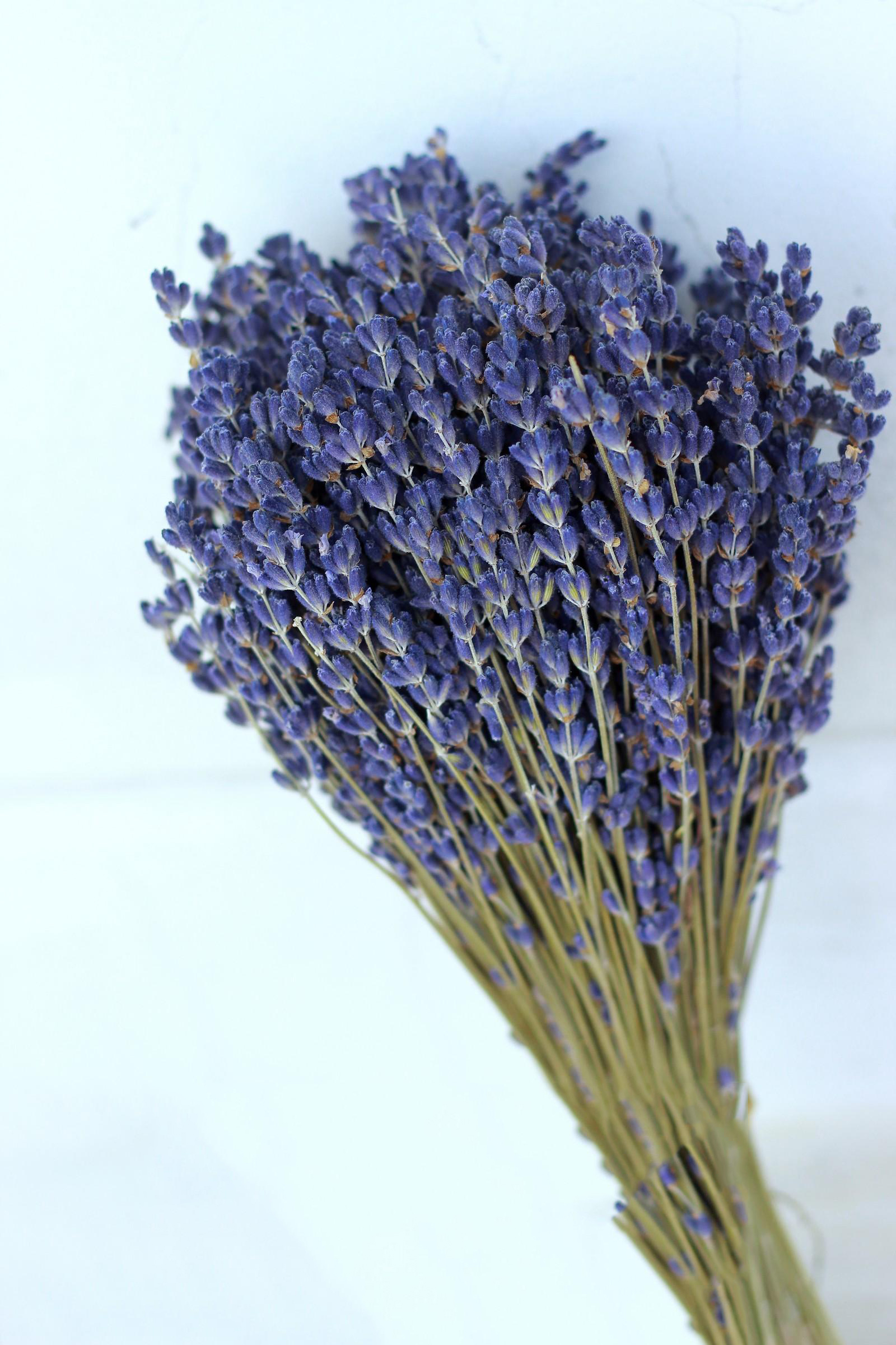 Tổng hợp hình ảnh hoa lavender khô đẹp nhất – Loài hoa may mắn, hạnh phúc - [Kích thước hình ảnh: 1600x2400 px]