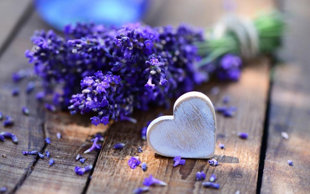 Tổng hợp hình ảnh hoa lavender khô đẹp nhất – Loài hoa may mắn, hạnh phúc - [Kích thước hình ảnh: 1000x625 px]