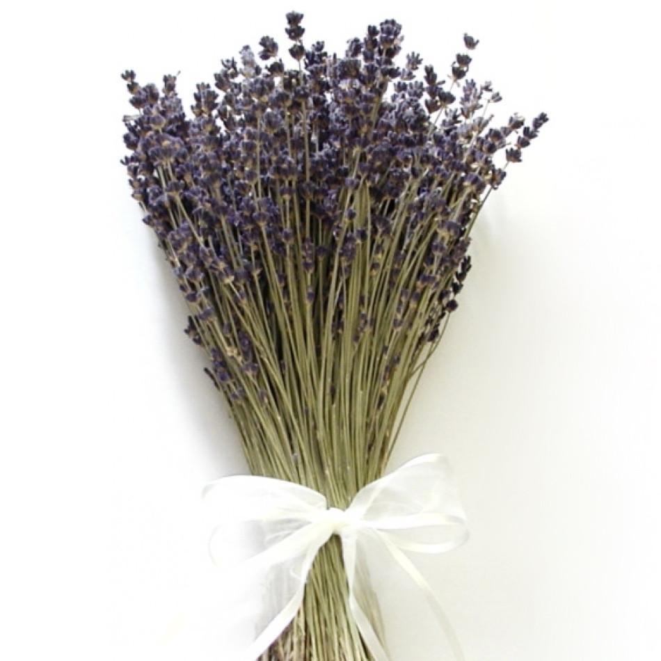 Tổng hợp hình ảnh hoa lavender khô đẹp nhất – Loài hoa may mắn, hạnh phúc - [Kích thước hình ảnh: 950x950 px]
