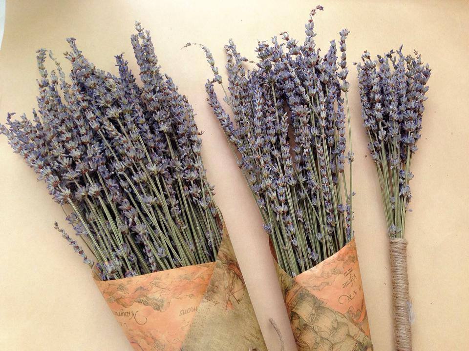 Tổng hợp hình ảnh hoa lavender khô đẹp nhất – Loài hoa may mắn, hạnh phúc - [Kích thước hình ảnh: 960x720 px]