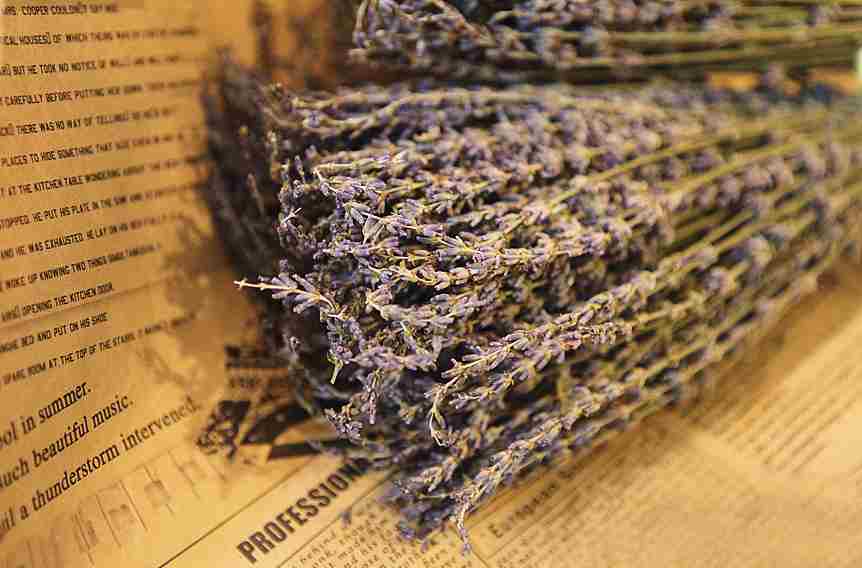 Tổng hợp hình ảnh hoa lavender khô đẹp nhất – Loài hoa may mắn, hạnh phúc - [Kích thước hình ảnh: 862x568 px]