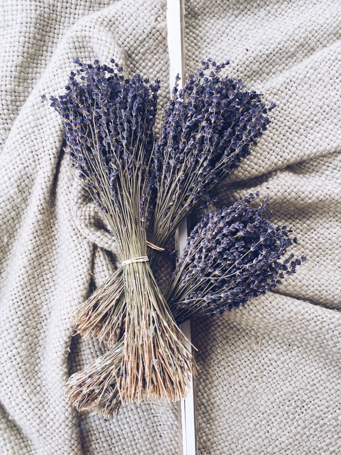 Tổng hợp hình ảnh hoa lavender khô đẹp nhất – Loài hoa may mắn, hạnh phúc - [Kích thước hình ảnh: 1125x1500 px]
