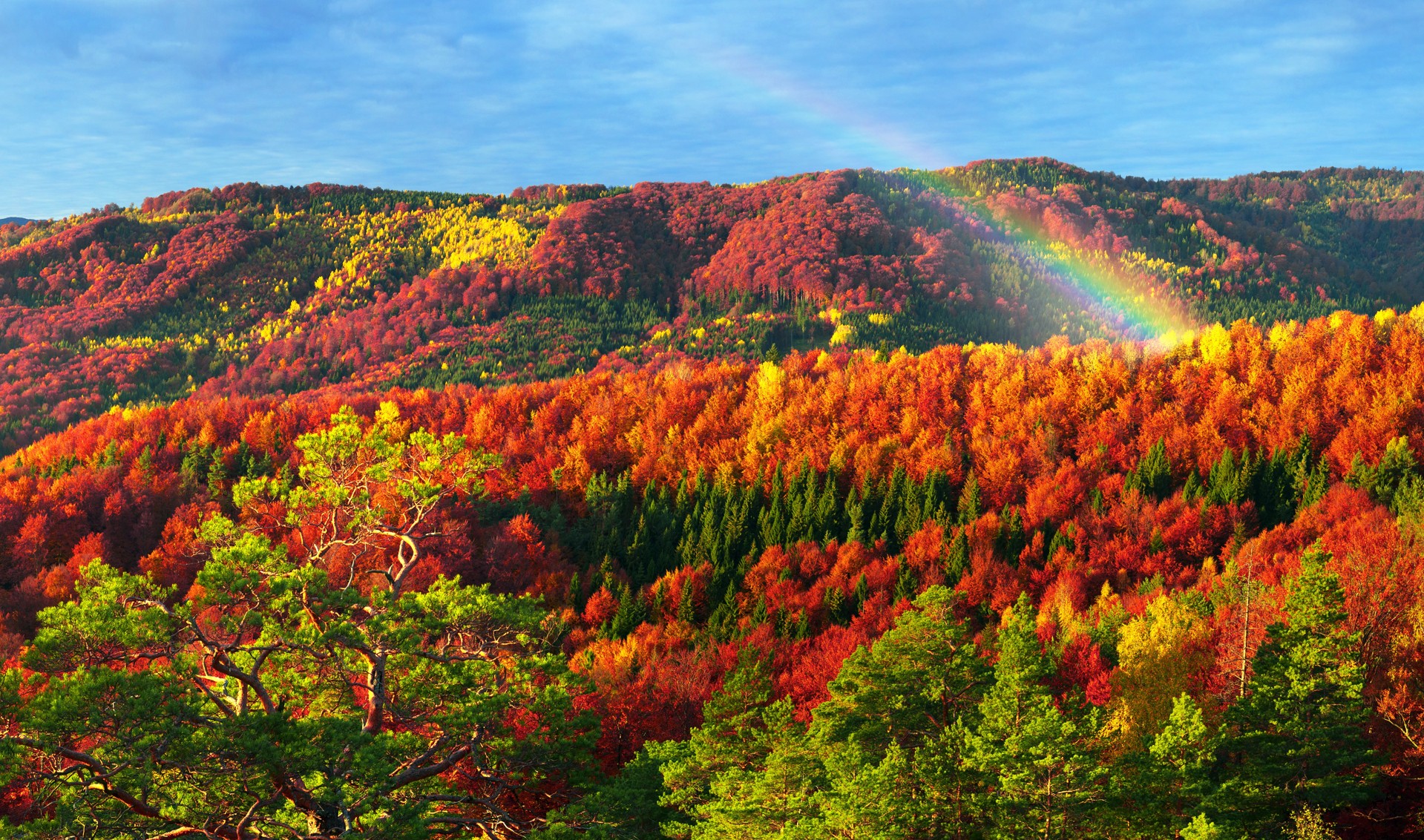 Top 50 Hình nền cầu vồng Rainbow đẹp nhất thế giới - [Kích thước hình ảnh: 1919x1132 px]