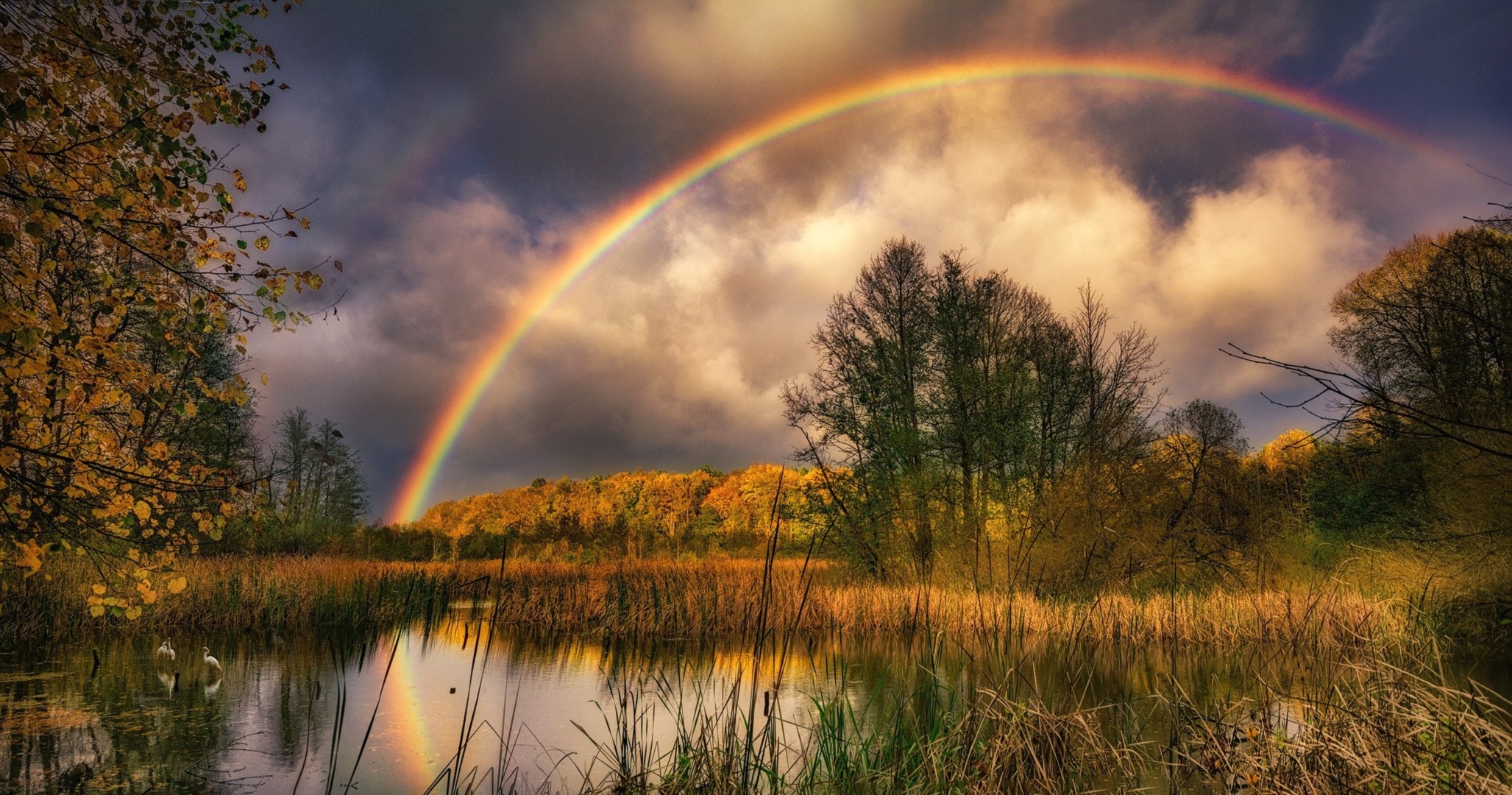 Top 50 Hình nền cầu vồng Rainbow đẹp nhất thế giới - [Kích thước hình ảnh: 2055x1080 px]