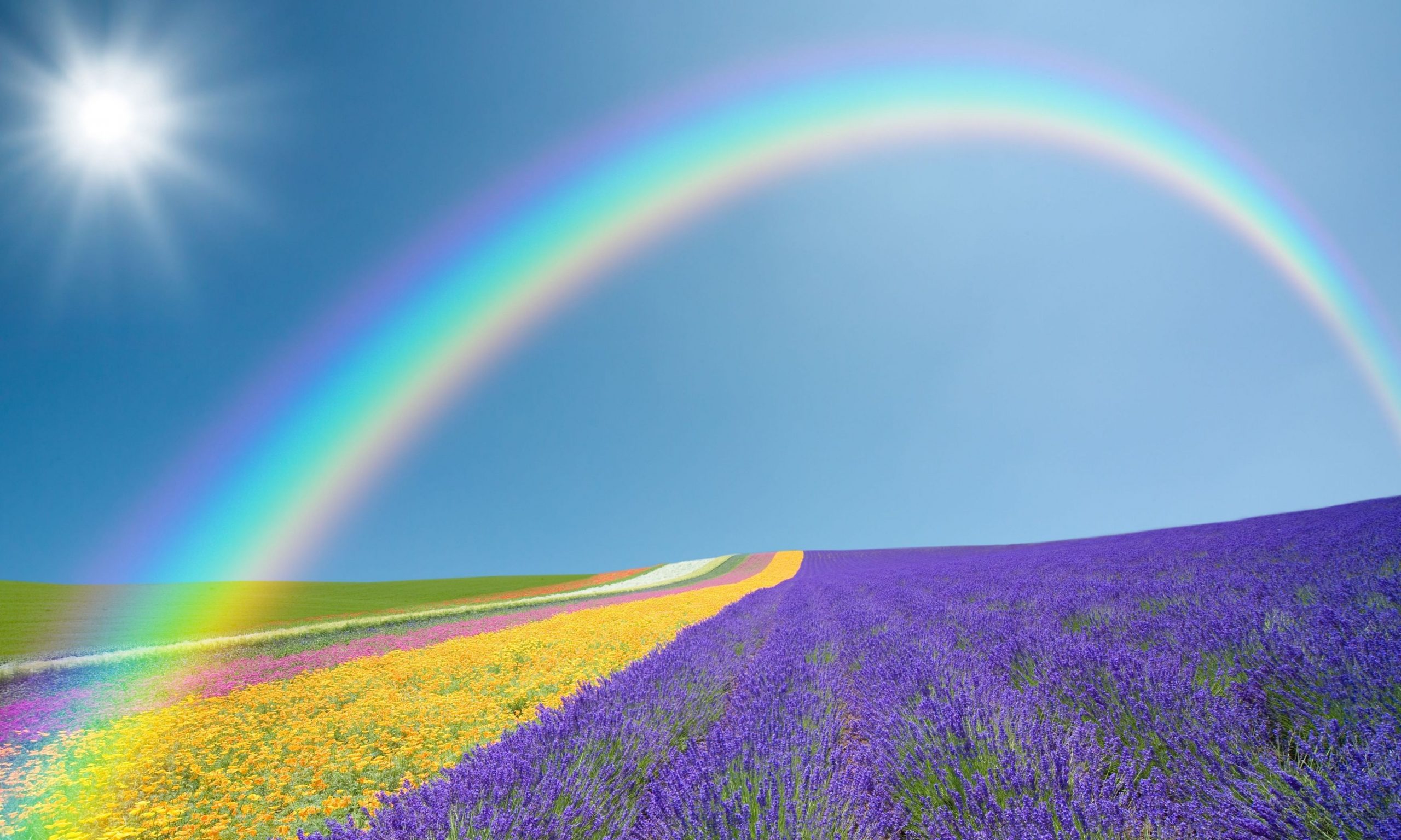 Top 50 Hình nền cầu vồng Rainbow đẹp nhất thế giới - [Kích thước hình ảnh: 2560x1536 px]