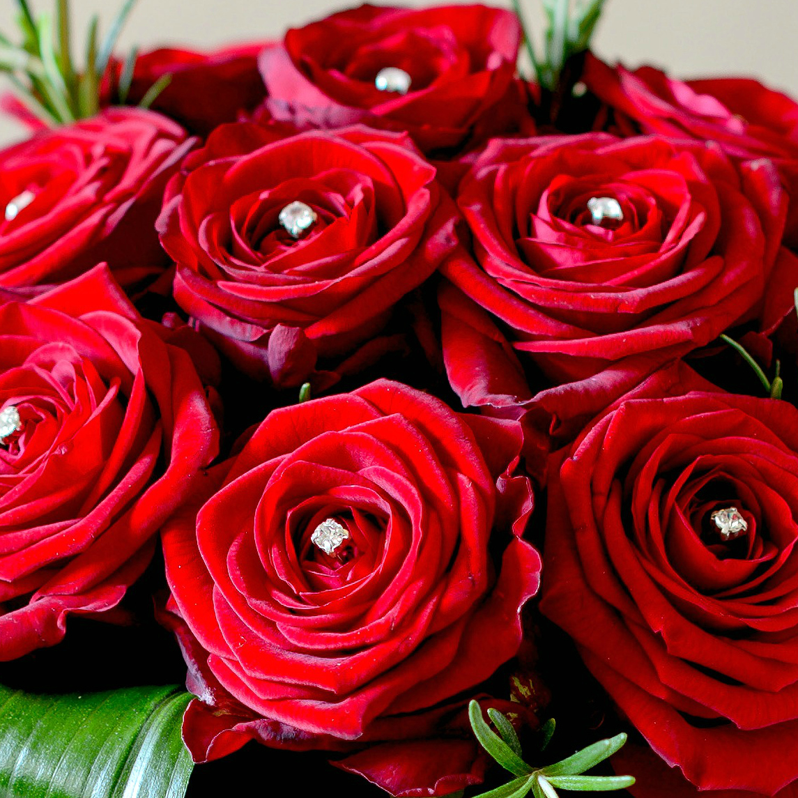Tuyển hợp hình ảnh hoa hồng đỏ đẹp nhất – Nữ hoàng của các loài hoa - [Kích thước hình ảnh: 1145x1145 px]