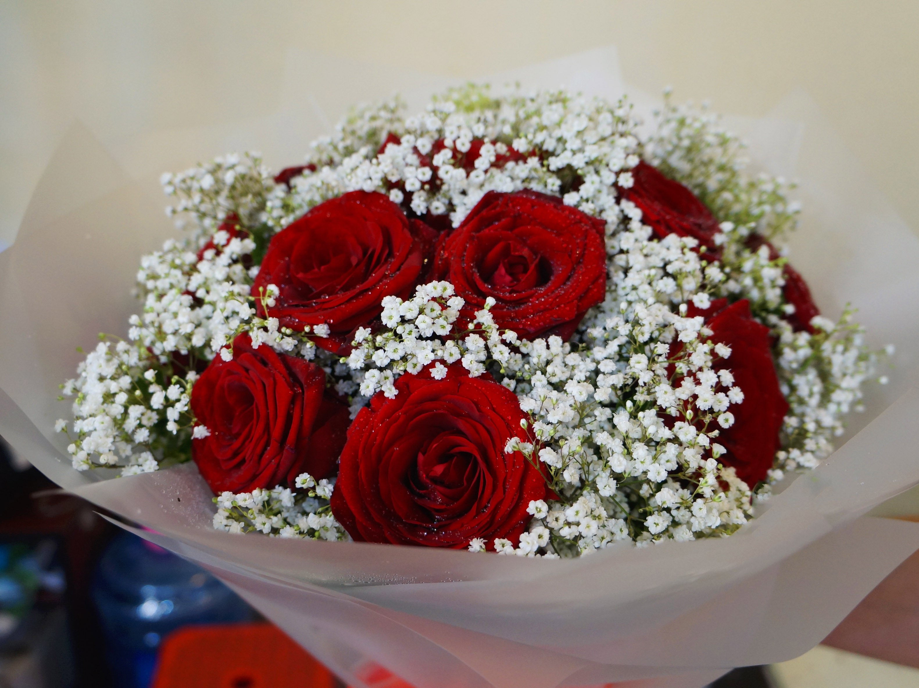 Tuyển hợp hình ảnh hoa hồng đỏ đẹp nhất – Nữ hoàng của các loài hoa - [Kích thước hình ảnh: 3162x2368 px]
