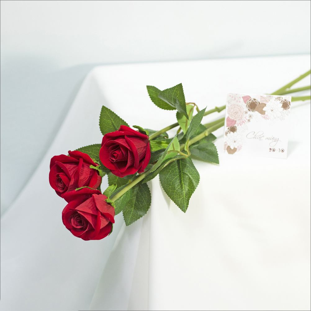 Tuyển hợp hình ảnh hoa hồng đỏ đẹp nhất – Nữ hoàng của các loài hoa - [Kích thước hình ảnh: 1002x1002 px]