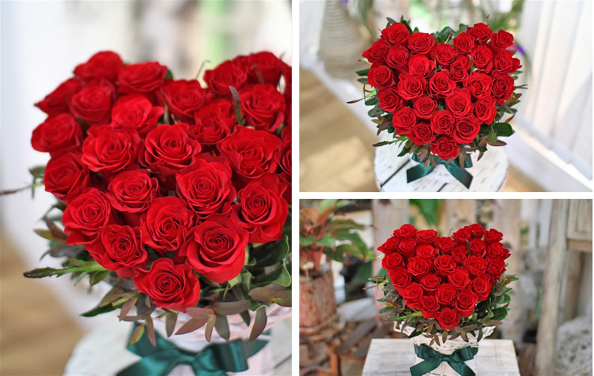 Tuyển hợp hình ảnh hoa hồng đỏ đẹp nhất – Nữ hoàng của các loài hoa - [Kích thước hình ảnh: 1183x750 px]