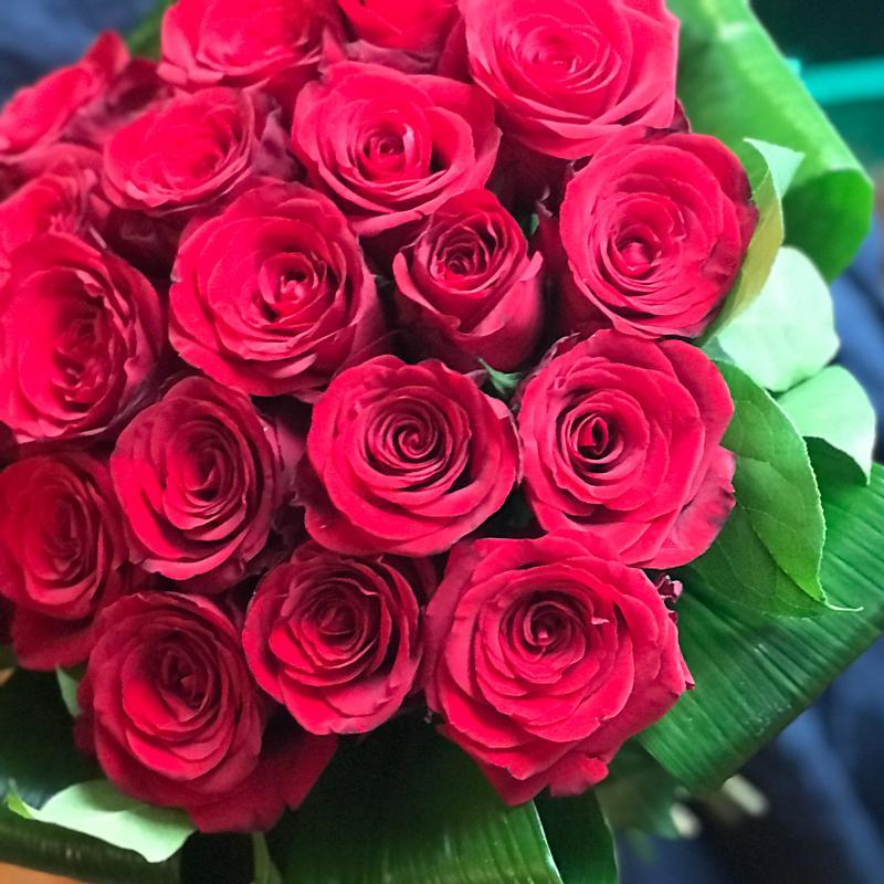 Tuyển hợp hình ảnh hoa hồng đỏ đẹp nhất – Nữ hoàng của các loài hoa - [Kích thước hình ảnh: 800x800 px]