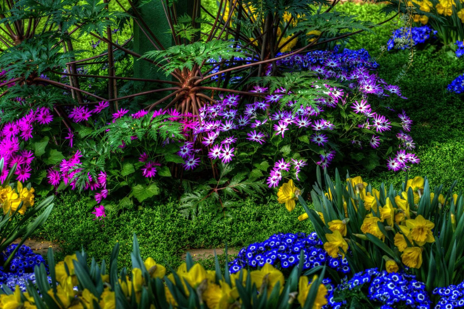 Hình nền hoa đẹp Flower wallpaper HD cho máy tính - [Kích thước hình ảnh: 1600x1066 px]