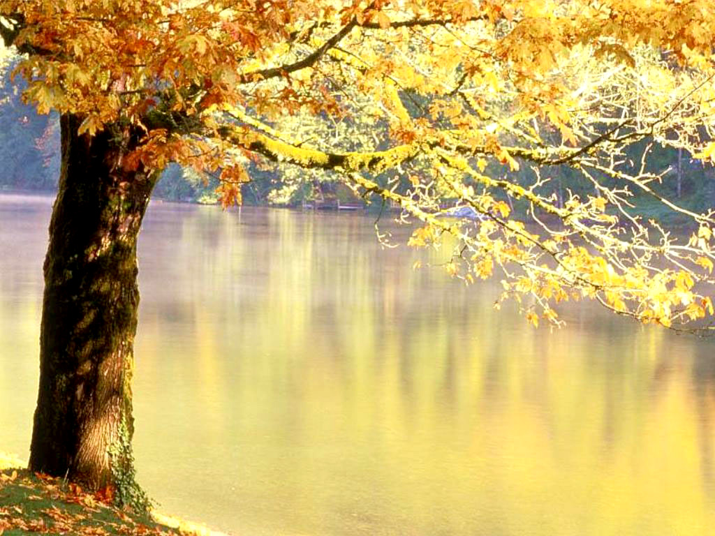 Tuyển chọn những hình ảnh mùa thu Hà Nội đẹp lãng mạn nhất - [Kích thước hình ảnh: 1024x768 px]