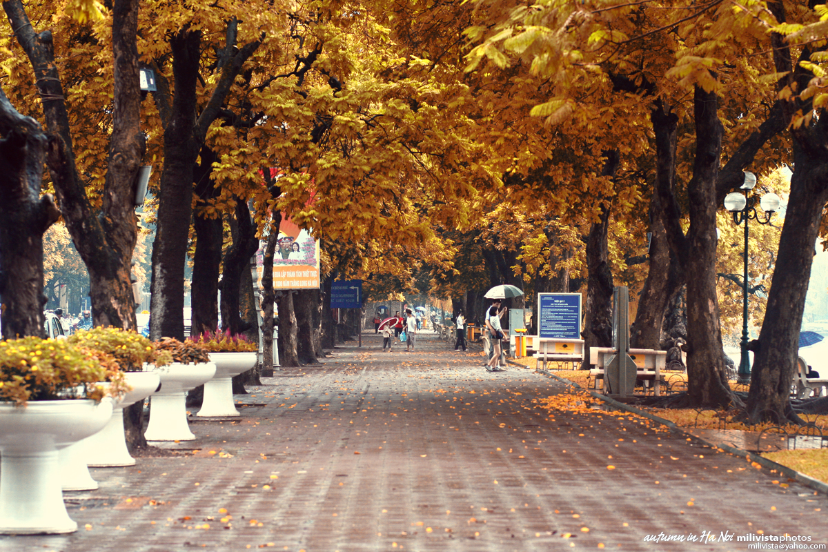 Tuyển chọn những hình ảnh mùa thu Hà Nội đẹp lãng mạn nhất - [Kích thước hình ảnh: 1200x800 px]