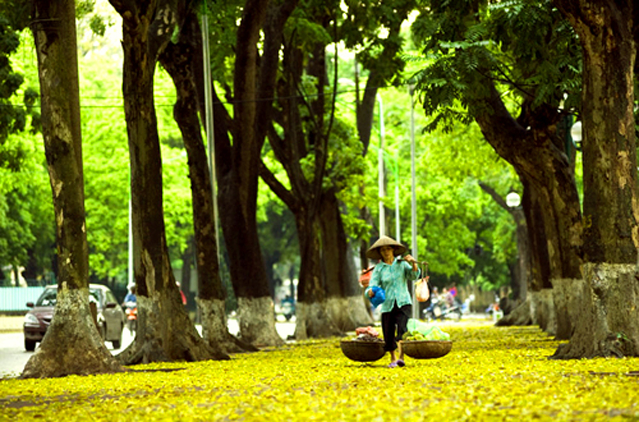 Tuyển chọn những hình ảnh mùa thu Hà Nội đẹp lãng mạn nhất - [Kích thước hình ảnh: 1280x845 px]