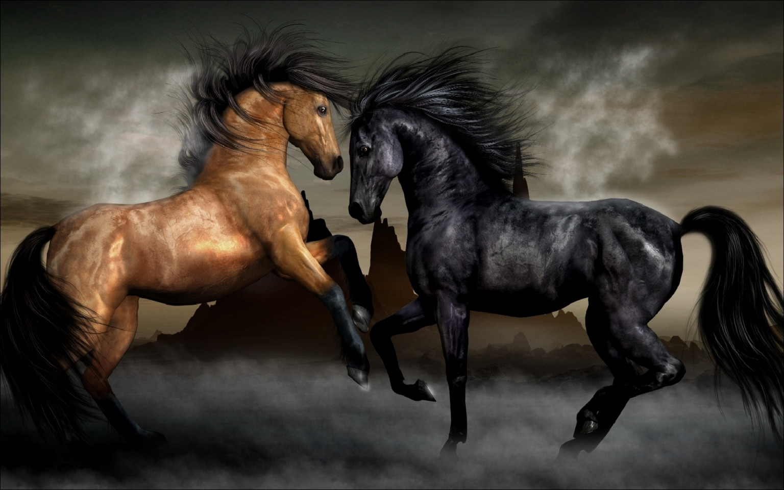 Tổng hợp hình ảnh về những chú ngựa đẹp nhất  - [Kích thước hình ảnh: 1536x960 px]