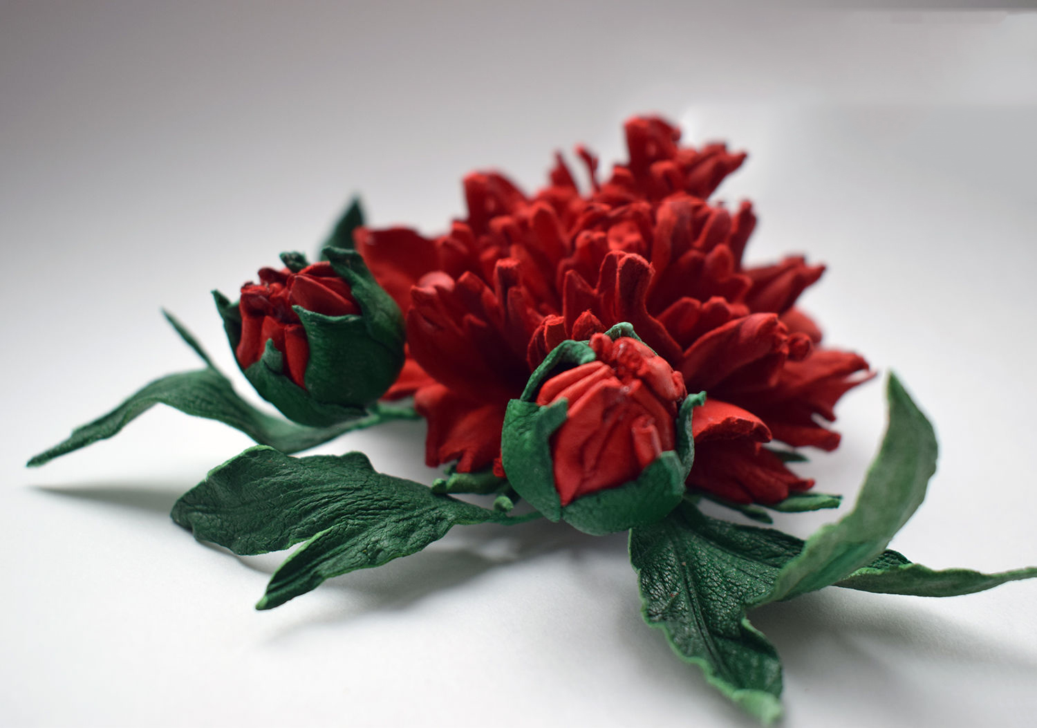 Tuyển tập hình ảnh hoa mẫu đơn đỏ đẹp nhất mời bạn chiêm ngưỡng - [Kích thước hình ảnh: 1500x1053 px]