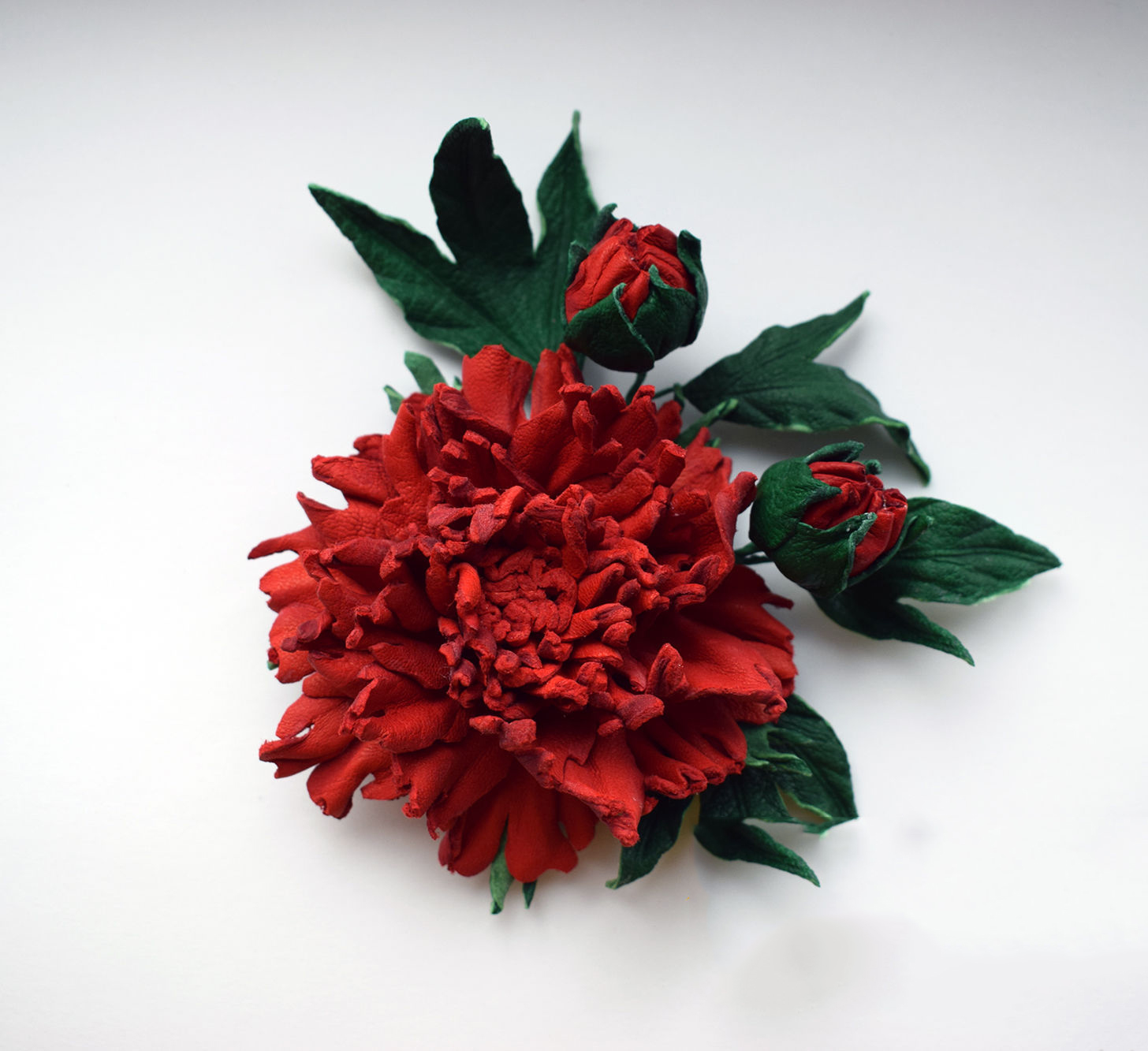 Tuyển tập hình ảnh hoa mẫu đơn đỏ đẹp nhất mời bạn chiêm ngưỡng - [Kích thước hình ảnh: 1456x1333 px]