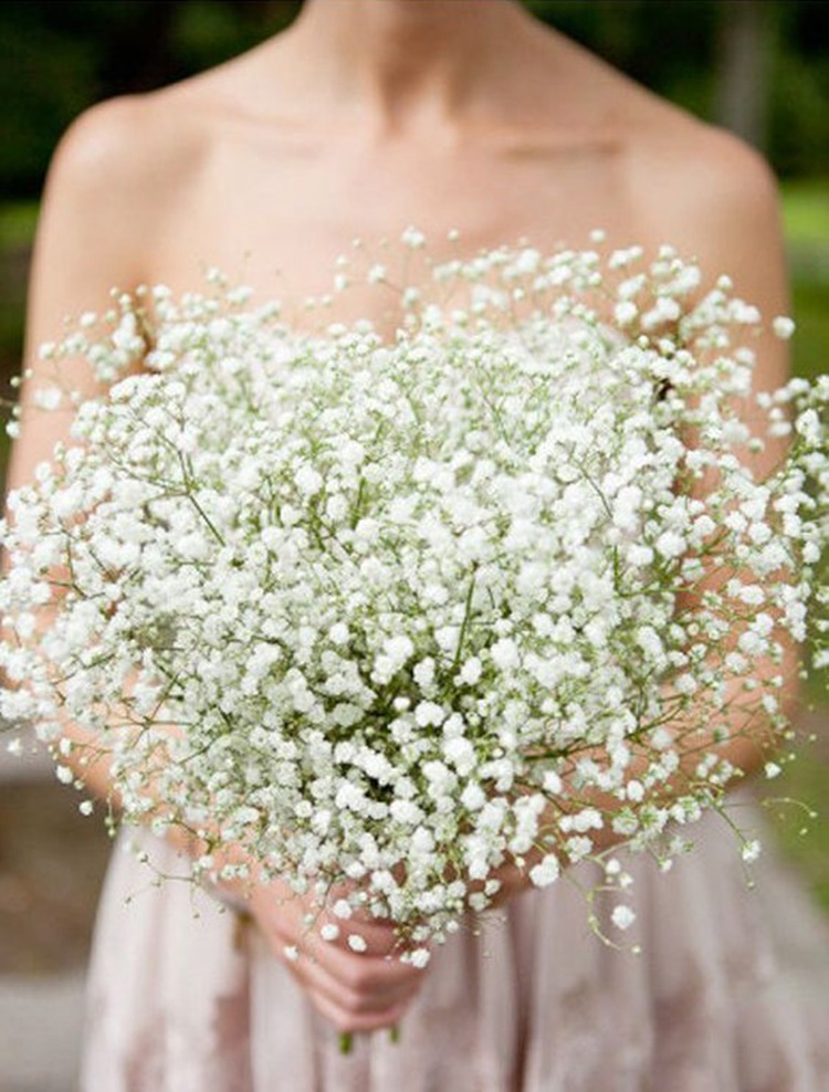 Tổng hợp những hình ảnh đẹp nhất về hoa baby trắng - [Kích thước hình ảnh: 750x988 px]
