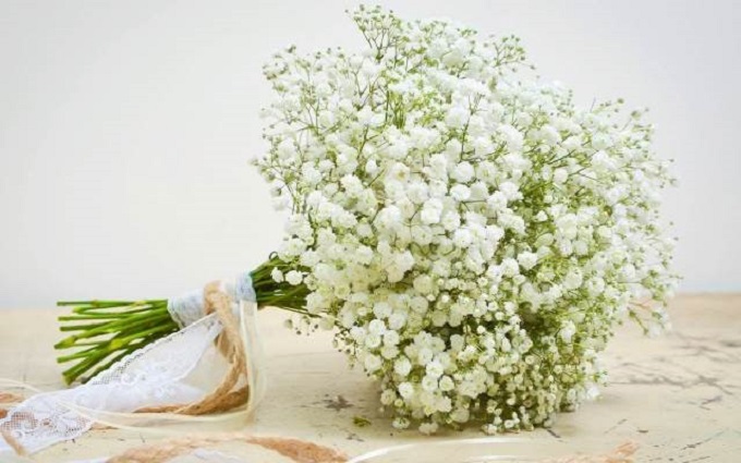 Tổng hợp những hình ảnh đẹp nhất về hoa baby trắng - [Kích thước hình ảnh: 680x425 px]