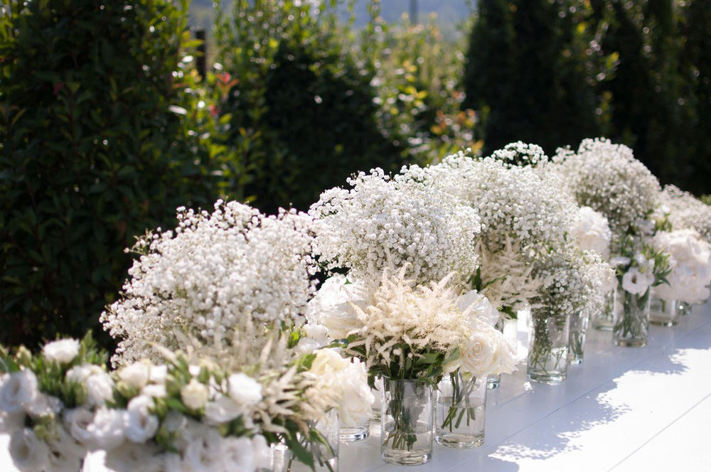 Tổng hợp những hình ảnh đẹp nhất về hoa baby trắng - [Kích thước hình ảnh: 1000x664 px]