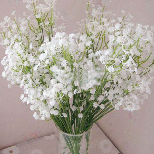 Tổng hợp những hình ảnh đẹp nhất về hoa baby trắng - [Kích thước hình ảnh: 600x600 px]