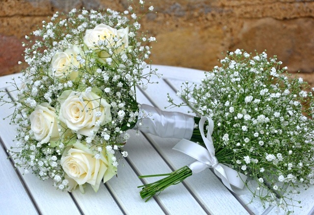 Tổng hợp những hình ảnh đẹp nhất về hoa baby trắng - [Kích thước hình ảnh: 640x439 px]