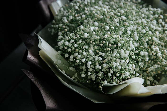 Tổng hợp những hình ảnh đẹp nhất về hoa baby trắng - [Kích thước hình ảnh: 700x466 px]