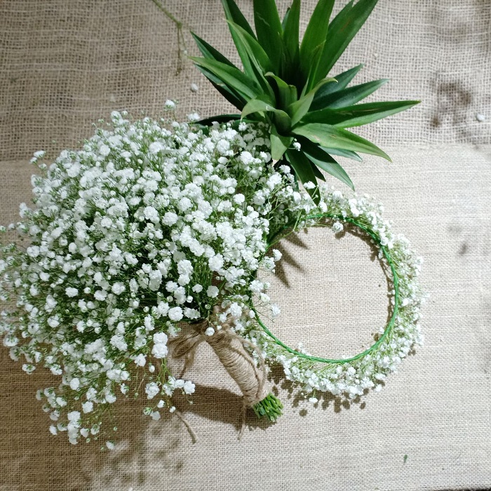 Tổng hợp những hình ảnh đẹp nhất về hoa baby trắng - [Kích thước hình ảnh: 700x700 px]