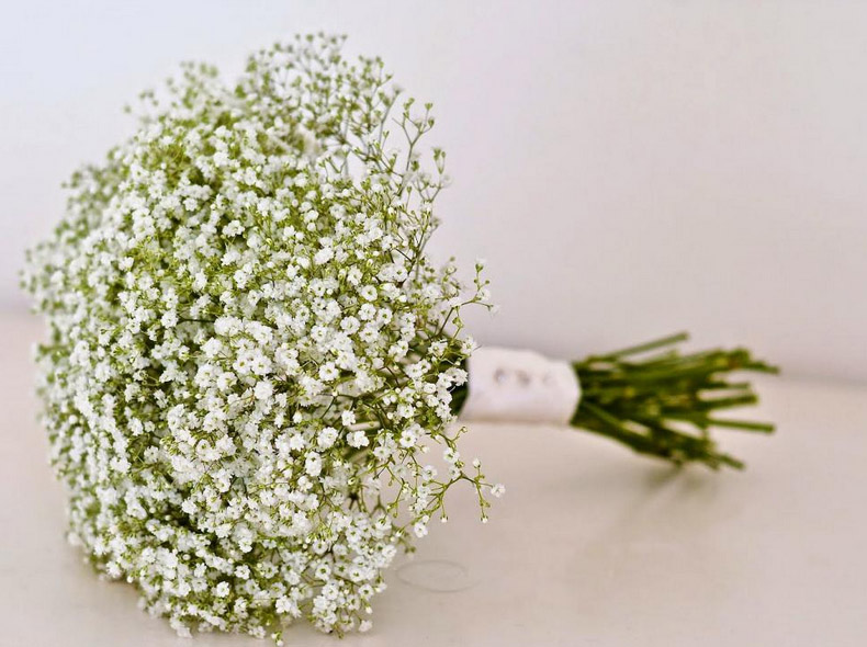 Tổng hợp những hình ảnh đẹp nhất về hoa baby trắng - [Kích thước hình ảnh: 790x590 px]