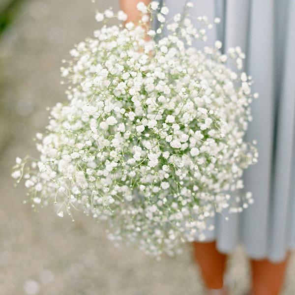 Tổng hợp những hình ảnh đẹp nhất về hoa baby trắng - [Kích thước hình ảnh: 600x600 px]