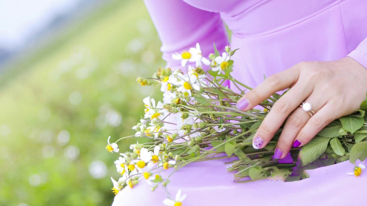 Tổng hợp những hình ảnh đẹp về hoa xuyến chi – cô gái xấu xí khao khát được một tình yêu đúng nghĩa - [Kích thước hình ảnh: 1280x720 px]