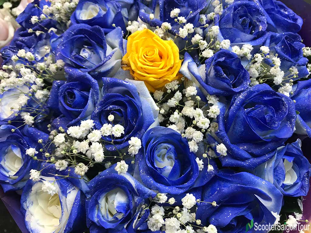 Top 20 hình nền hoa hồng xanh đẹp nhất, lãng mạn nhất - [Kích thước hình ảnh: 1024x768 px]