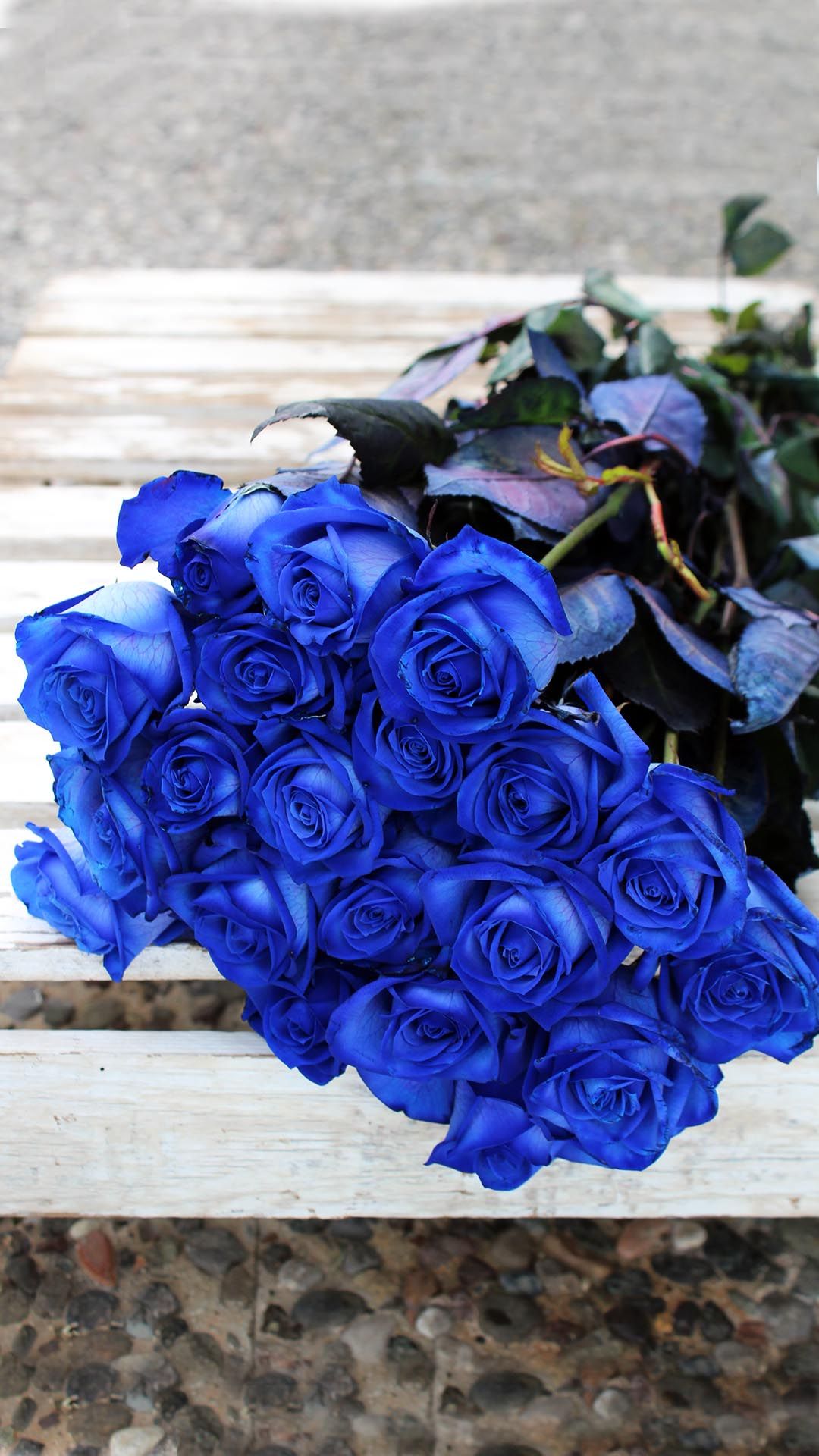 Top 20 hình nền hoa hồng xanh đẹp nhất, lãng mạn nhất - [Kích thước hình ảnh: 1080x1920 px]