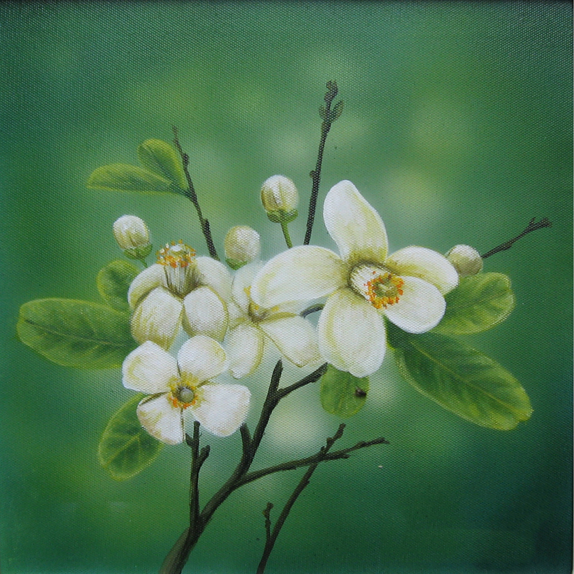 Tổng hợp những hình ảnh đẹp nhất về mùi hoa bưởi tháng ba - [Kích thước hình ảnh: 1181x1181 px]
