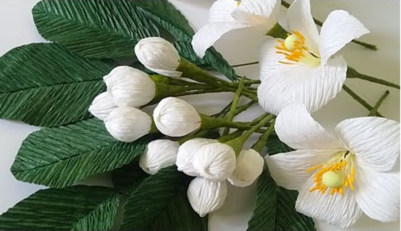 Tổng hợp những hình ảnh đẹp nhất về mùi hoa bưởi tháng ba - [Kích thước hình ảnh: 1280x737 px]