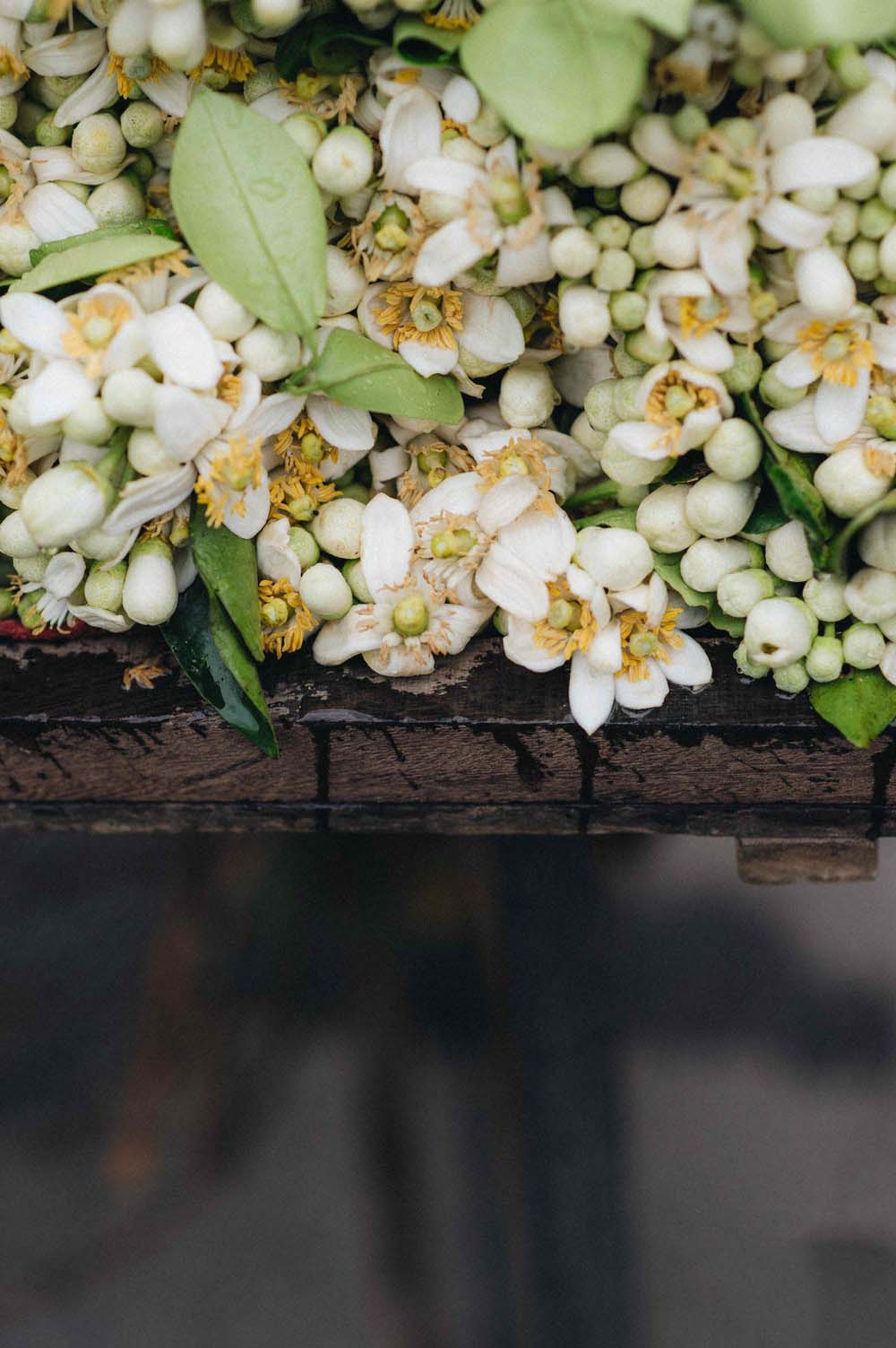 Tổng hợp những hình ảnh đẹp nhất về mùi hoa bưởi tháng ba - [Kích thước hình ảnh: 1000x1503 px]
