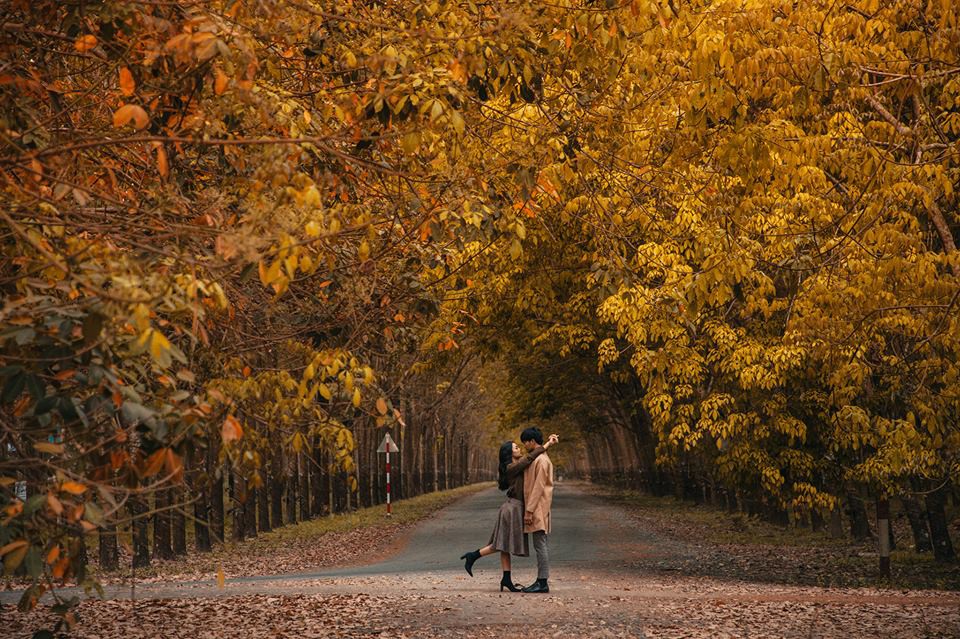 Tổng hợp những hình ảnh đẹp nhất về mùa thu lãng mạn - [Kích thước hình ảnh: 960x639 px]