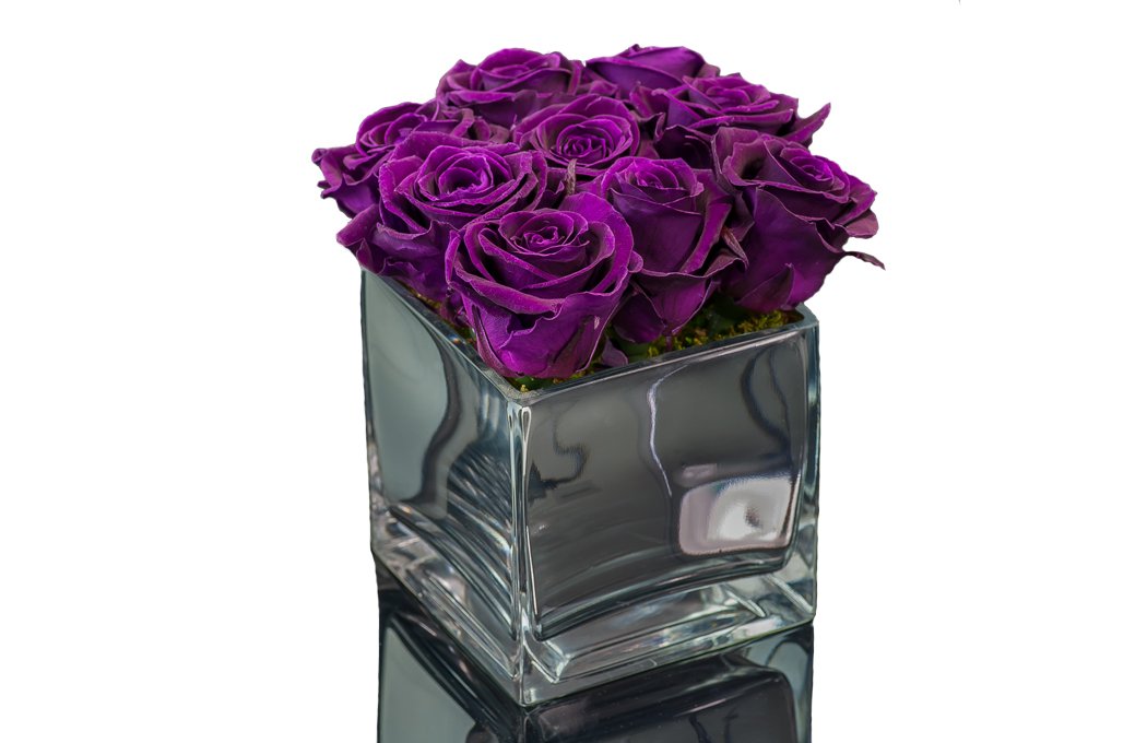 Tổng hợp hình ảnh hoa hồng tím đẹp nhất - [Kích thước hình ảnh: 1050x680 px]