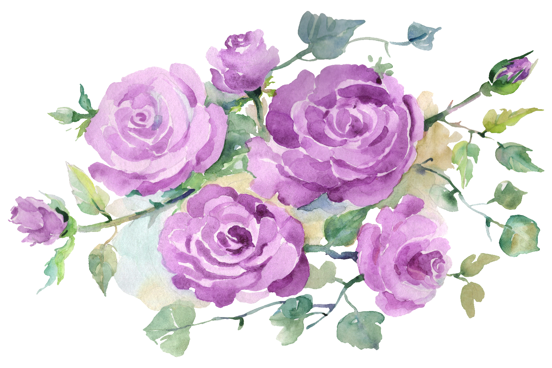 Tổng hợp hình ảnh hoa hồng tím đẹp nhất - [Kích thước hình ảnh: 1820x1214 px]